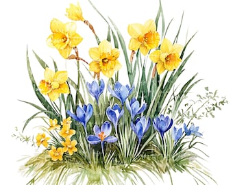 Watercolor Daffodil & Crocus Clipart: Spring Floral PNG Bundle (Digital Download