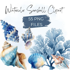 May include: Watercolor seashell clipart featuring various seashells in shades of blue, beige, and brown. The image includes text that reads "Watercolor Seashell Clipart" and "55 PNG FILES."