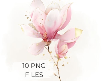 10 Pink Magnolia Watercolor Clipart PNG Set, Floral Gold Accent Illustration, Elegant Botanical Digital Art for Prints