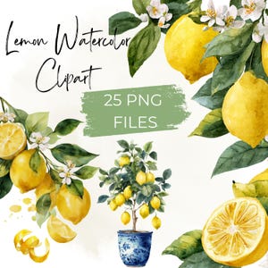 Op de afbeelding: Watercolor clipart met citroenen, bladeren en bloesems. De afbeelding bevat hele en gesneden citroenen, een citroenboom in een blauw-witte pot en de tekst "Lemon Watercolor Clipart" en "25 PNG FILES".