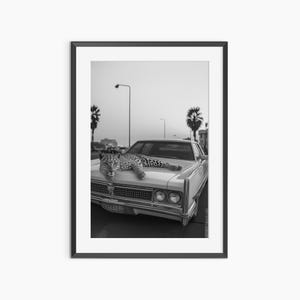 Leopard Print, Photography Prints, Fine Art Print, Cheetah Print, Black and White Wall Art, Museum Quality Photography Poster