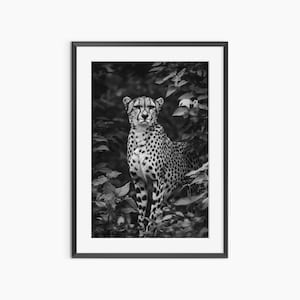 Cheetah Print, Photography Prints, Animal Poster, Nature Prints, Black and White Wall Art, Fine Art Print, Museum Grade Photography Poster