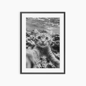 Cat Selfie, Photography Prints, Funny Poster, Cat Print, Fine Art Print, Black and White Wall Art, Museum Quality Photography Poster