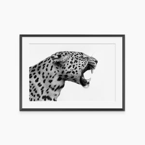 Leopard Print, Photography Prints, Animal Poster, Nature Prints, Leopard Poster, Black and White Wall Art, Museum Quality Photography Poster