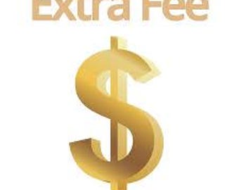 Extra Fee