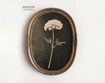 May include: An oval framed print featuring a botanical illustration of a white flower with a dark green background. The frame is gold with ornate detailing. The text "MAISON VINTAGE PRINTS" is at the top.