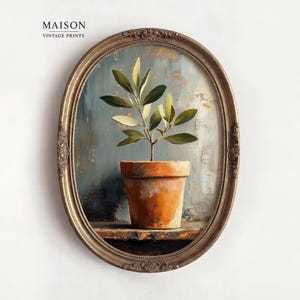 Peut inclure: Impression d'art encadrée ovale avec une plante en pot aux feuilles vertes. Le pot en terre cuite repose sur une étagère en bois sur un fond bleu et gris. Le cadre est doré avec des détails ornés. Le texte "MAISON VINTAGE PRINTS" est en haut.