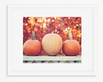 Pumpkin Photography, Pastel Pumpkin Print, Orange Pumpkin Print, Halloween Pumpkin Art, Pumpkin Decor, Pumpkin Wall Art, Pumpkins on a Fence