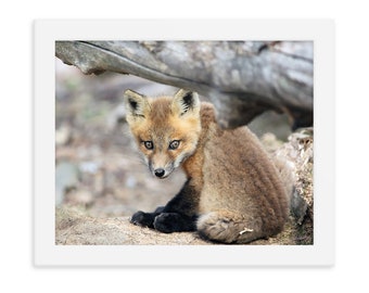 Baby Fox Photography, Baby Fox Print, Baby Fox Art, Woodland Nursery Print, Fox, Baby Animal Photography, Fox Nursery Art, Baby Fox Poster