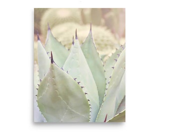 Agave Photography Print: Green Succulent Wall Art