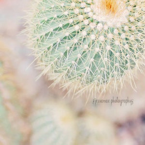 Cactus Photography Cactus Print Pastel Botanical Print, Cactus Wall Art, Cactus Decor, Desert Art, Southwest Print, Cactus Photo image 1