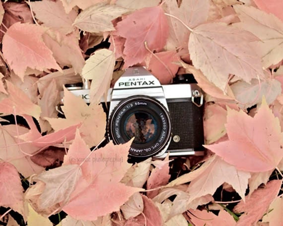 Vintage Camera Photography Print: Autumn Pentax, Fall Leaves Art