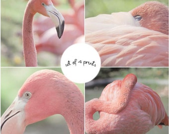 Flamingo Print Set, Pink Flamingo Art, Pink Bird Art, Pink Flamingo Photography Set, Flamingo Wall Art, Pink Art, Flamingo Decor