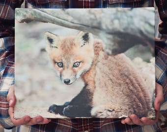 Fox Photography Canvas Gallery Wrap, Fox Art, Fox Nursery Art, Woodland Nursery, Baby Fox Art, Fox Canvas Wrap, Fox Wall Art, Fox Decor