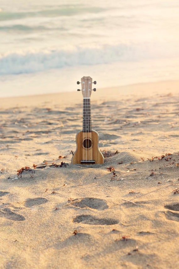 Ukulele Dorm Wall Art Beach Art Beach Print