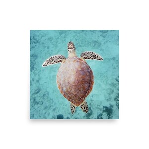 Sea Turtle Art, Sea Turtle Photography, Sea Turtle Print, Sea Turtle Photography, Ocean Life Print, Underwater Print, Turtle Decor
