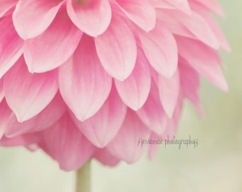 Dahlia Photography Print, Dahlia Print, Pink Shabby Chic Print, Pink and Green Art, Pink Flower Art, Dahlia Wall Art, Pink and Mint Nursery