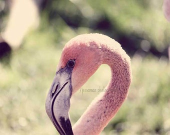 Pink Flamingo Art , Pink Flamingo Photography, Pink Flamingo Print, Pink and Green Art, Pink Flamingo Decor, Pink Flamingo Wall Art