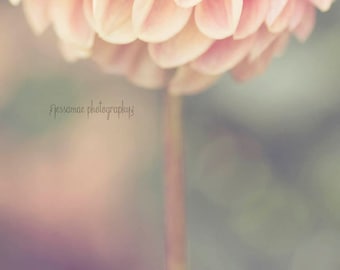 Dahlia Wall Art, Pink Flower Photography, Dahlia Photography, Pink and Green Nursery Decor, Mint Art, Pink Flower Print, Pastel Nursery Art