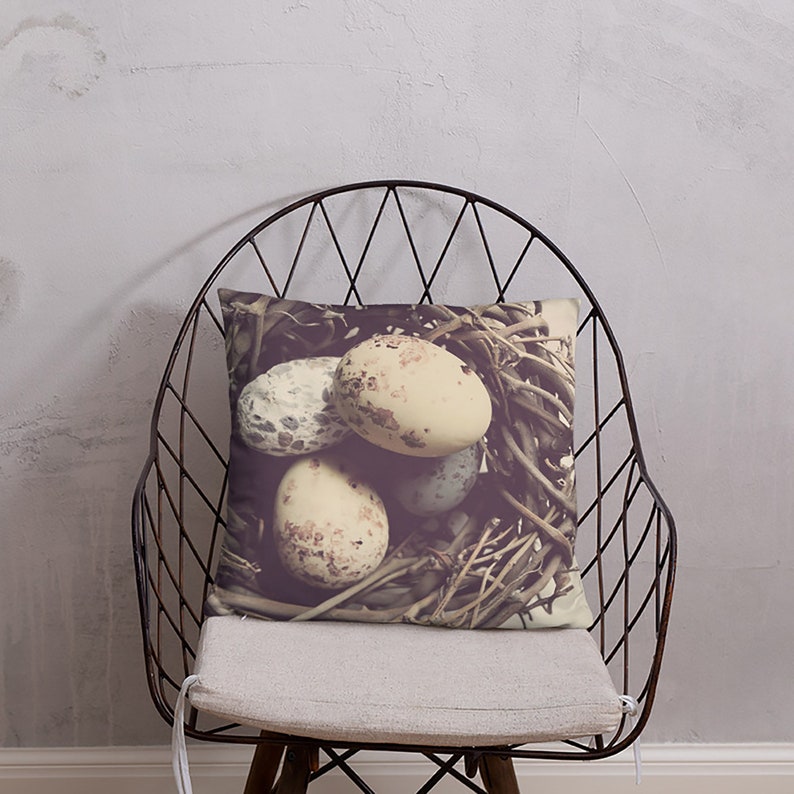 Nest Pillow, Bird Eggs Pillow, Nest Pillowcase, Cottagecore Pillow