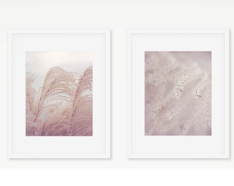 Fountain Grass Photography Print Set: Pink & Gray Botanical Art