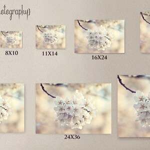 Peut inclure: Une photographie rapproch&eacute;e d'un groupe de d&eacute;licates fleurs de cerisier blanches, sur un fond doux et flou de teintes brun clair et bleues. Les fleurs sont dispos&eacute;es en cercle, cr&eacute;ant une esth&eacute;tique d&eacute;licate et romantique.