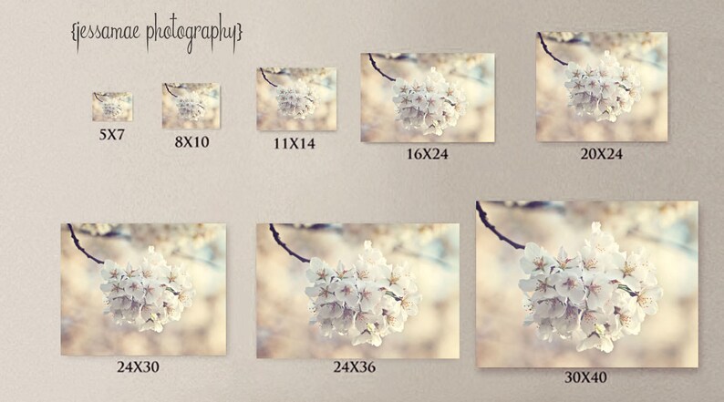 Peut inclure: Une photographie rapproch&eacute;e d'un groupe de d&eacute;licates fleurs de cerisier blanches, sur un fond doux et flou de teintes brun clair et bleues. Les fleurs sont dispos&eacute;es en cercle, cr&eacute;ant une esth&eacute;tique d&eacute;licate et romantique.