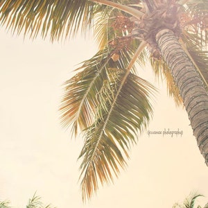Palm Tree Photography, Palm Tree Print, Palm Tree Art, Beach Art, Summer, Palm Tree Decor, Palm Trees Poster, Retro Summer Art, Beach House