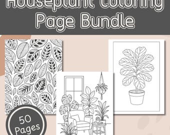 Houseplant Coloring Page Bundle Printable Digital Download