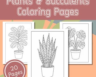以下が含まれることがあります： Plants & Succulentsの塗り絵セット。20ページの白黒線画イラストが含まれています。各ページには、カシワバゴムノキ、サンセベリア、モンステラなど、異なる鉢植えの植物が描かれています。
