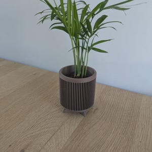 May include: A small green plant in a brown, cylindrical pot with vertical lines. The pot has three small feet. The plant has multiple stems and long, thin green leaves. The pot is sitting on a light brown wooden surface.
