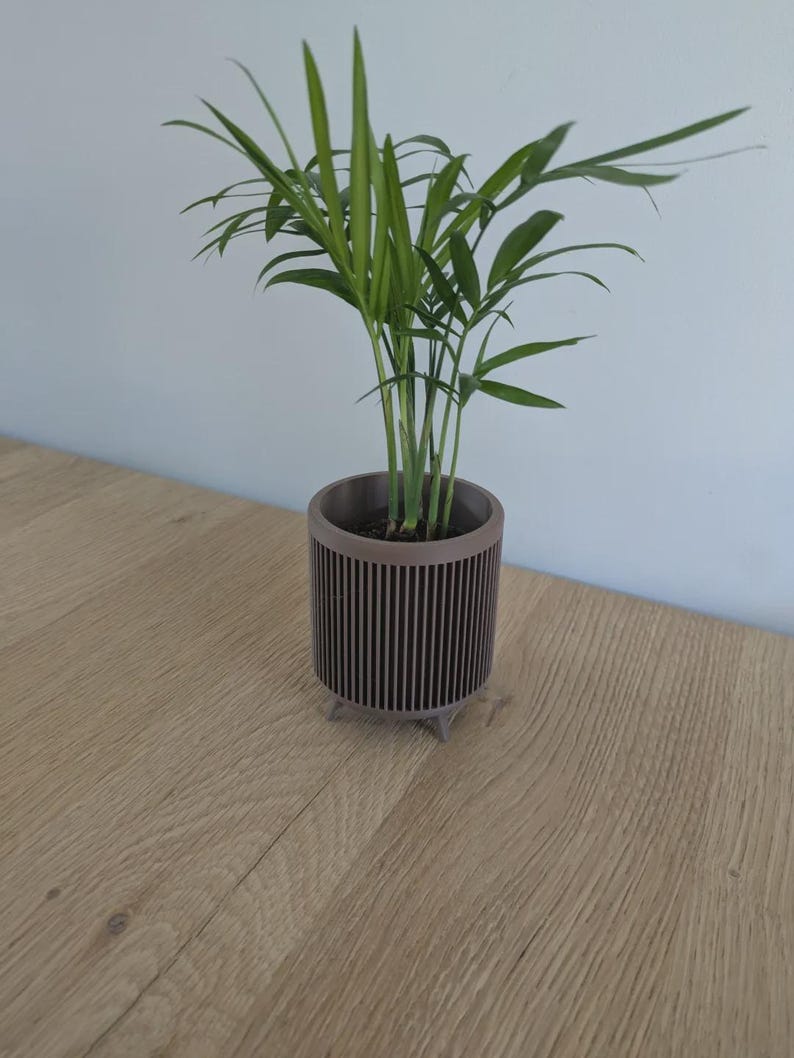 May include: A small green plant in a brown, cylindrical pot with vertical lines. The pot has three small feet. The plant has multiple stems and long, thin green leaves. The pot is sitting on a light brown wooden surface.