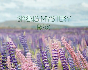 Frühling Mystery Box, natürliche Wald Schmuckschatulle, der Lucky Dip, Natur Frühling inspiriert Schmuck Überraschungsbox