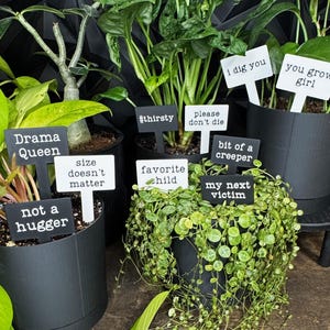 Funny Plant Stakes Set | Sarcastic Houseplant Humor | Black or White | Set of 10