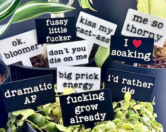 Funny Plant Stakes Set | Sassy Explicit Houseplant Humor | Black or White | Set of 10