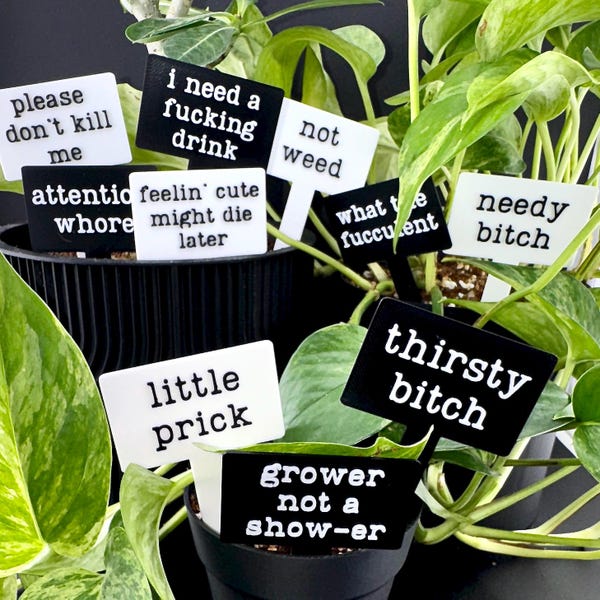 Funny Plant Stakes Set | Sassy Explicit Houseplant Humor | Black or White | Set of 10
