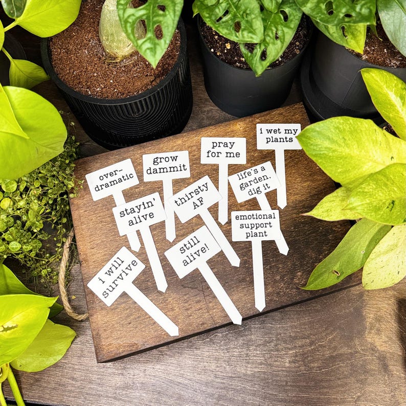 May include: A collection of white plant markers with black text, featuring phrases such as 'overdramatic', 'grow dammit', 'pray for me', 'i wet my plants', 'stayin' alive', 'thirsty AF', 'life's a garden. dig it', 'emotional support plant', 'i will survive', and 'still alive!'.