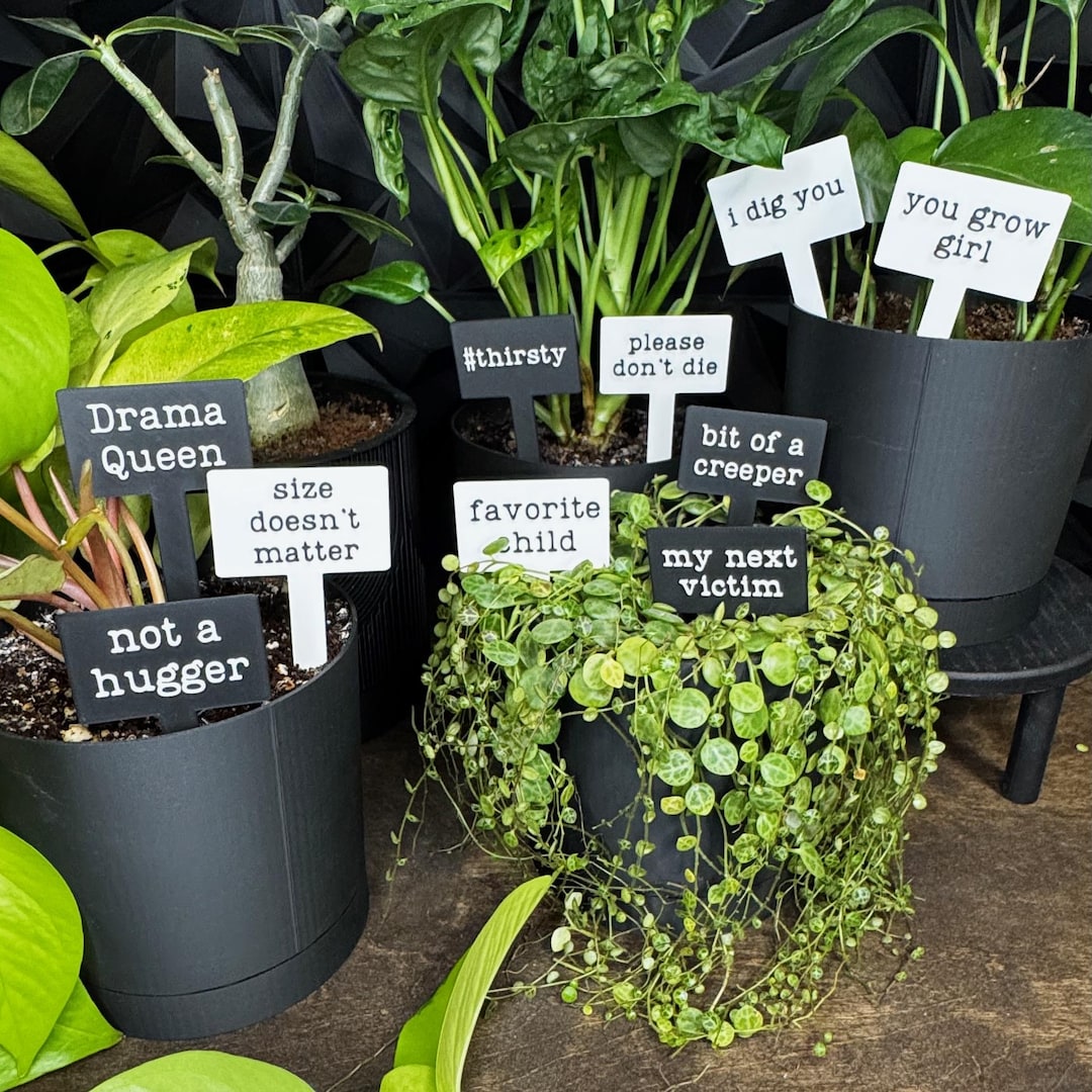 Funny Plant Stakes: Sarcastic Houseplant Humor, Set of 10