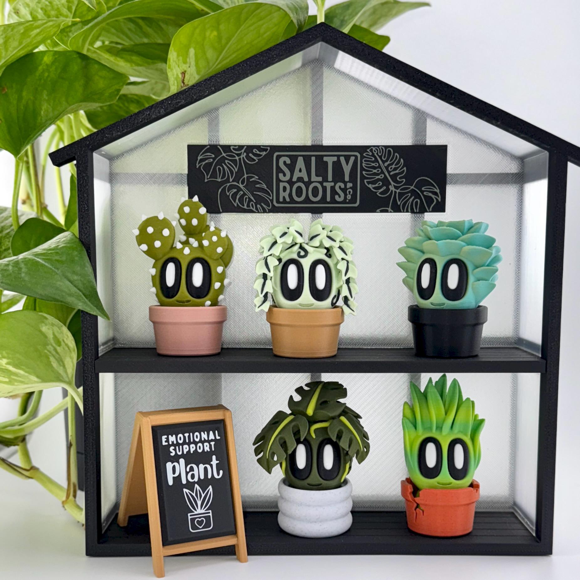 was braucht ein olivenbaum für erde Green Home Olivenbaumerde & Oleandererde main image 0