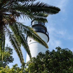 KeyWest Palm Trees and Lighthouse Wall Art For The Home and Office. Florida Landscapes and Home Decoration Canvas Print.