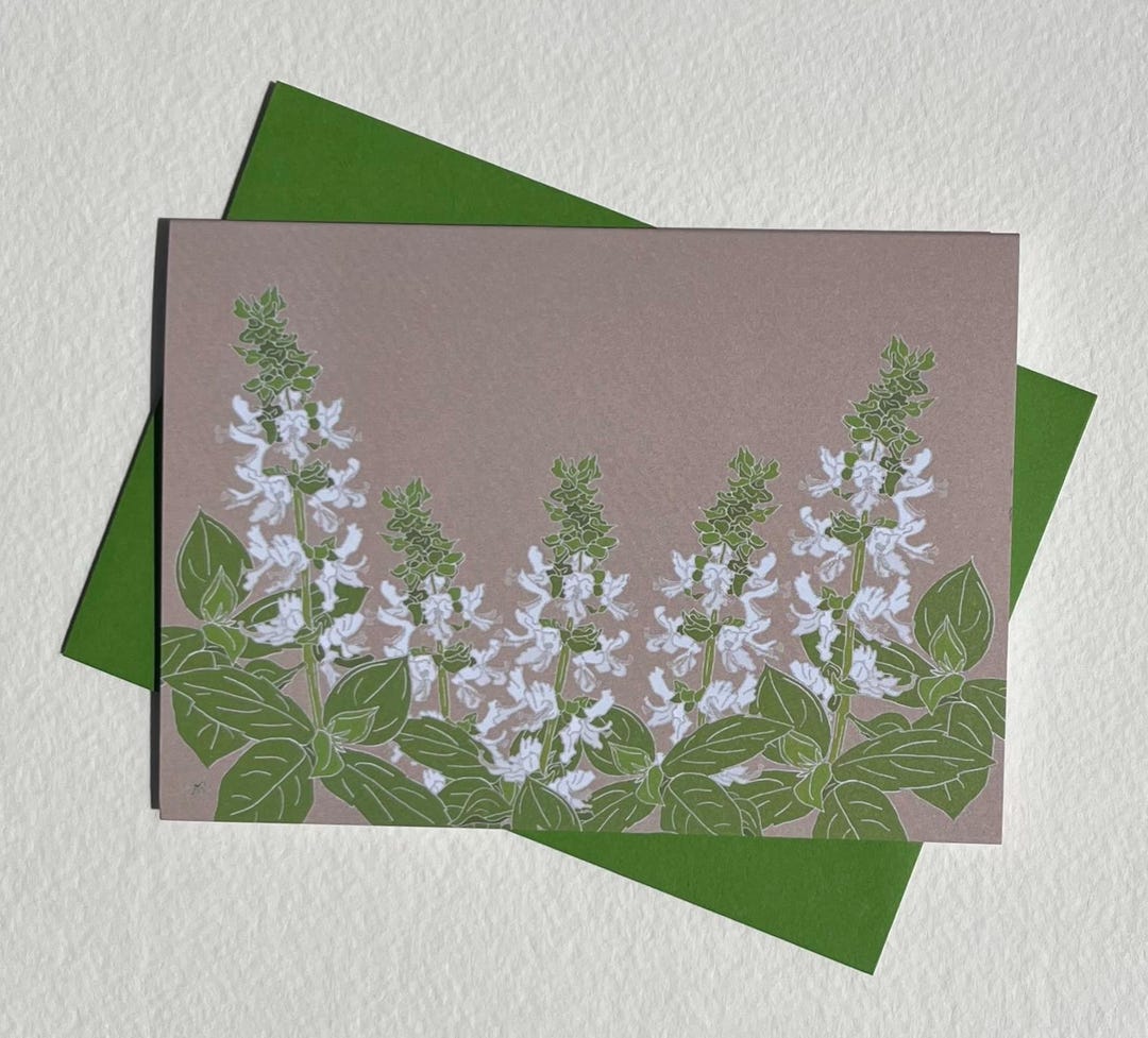 Basil Note Cards - Etsy