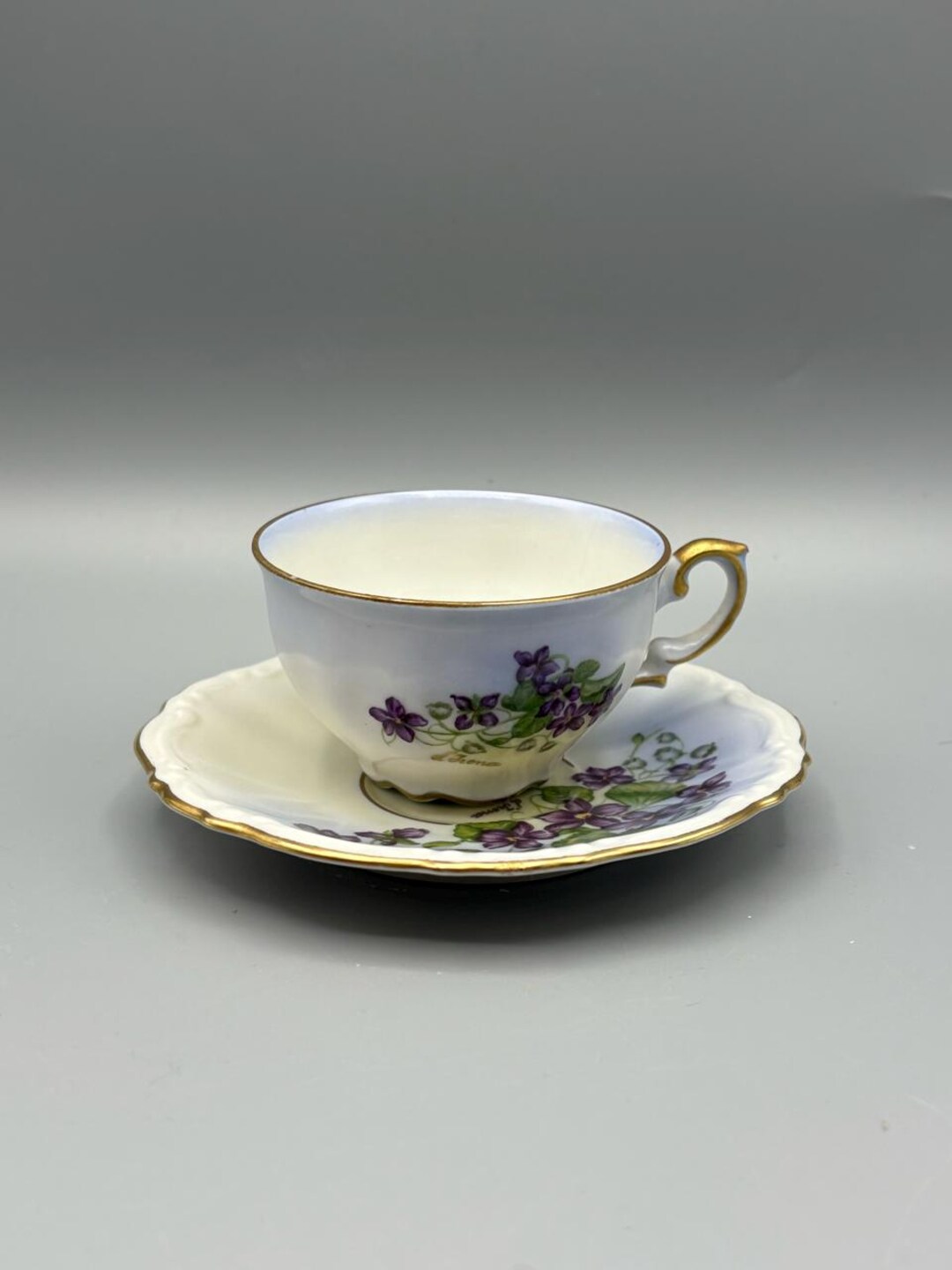 Vintage Schumann Bavarian Germany Floral Teacup Set Tea Party China ...