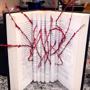 May include: An open book with pages rolled and bound with red thread, creating an artistic display. The book's pages are white, and the cover is black. The red thread forms a web-like pattern across the pages.