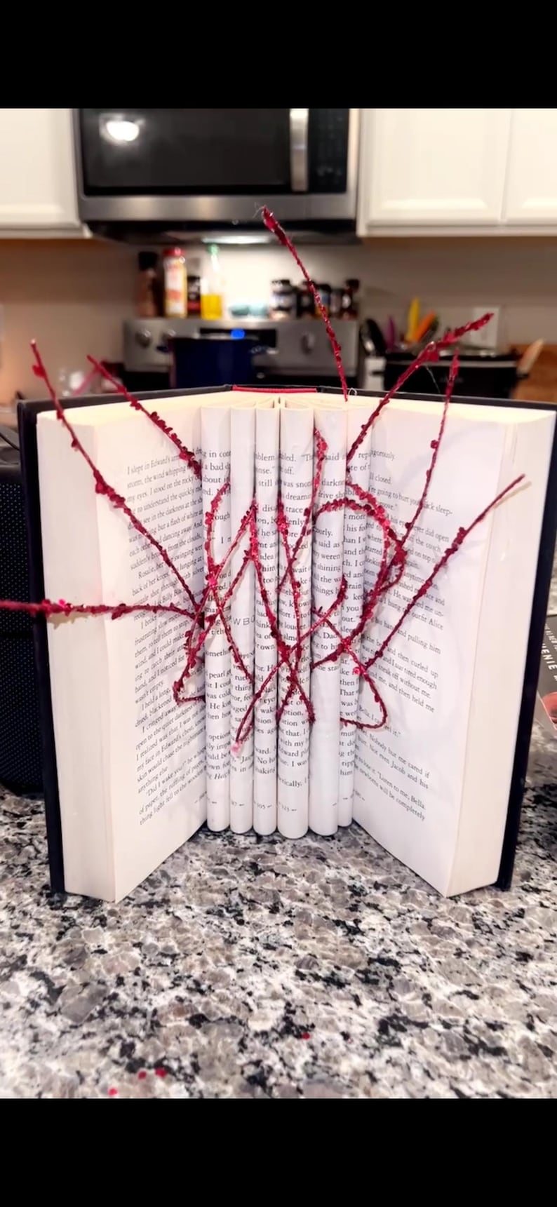 May include: An open book with pages rolled and bound with red thread, creating an artistic display. The book's pages are white, and the cover is black. The red thread forms a web-like pattern across the pages.