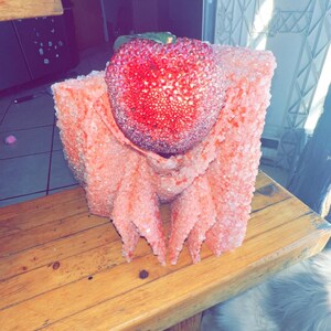 May include: A decorative, heart-shaped object with a textured, red surface, atop a coral-colored, crystallized structure. The object is placed on a wooden surface. The overall design suggests a handcrafted, artistic piece, possibly for home decor.