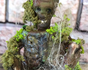 Mummified Tree Fairy. Glass dome. Dead fairy, fake fairy.