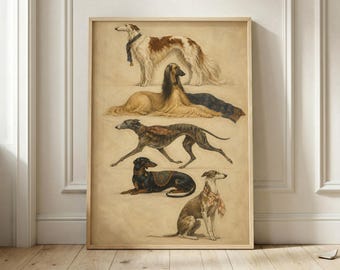 Sighthound Dog Poster, Greyhound Borzoi Whippet Wall Art, Vintage Hound Art Print, Regal Dog Lover Decor