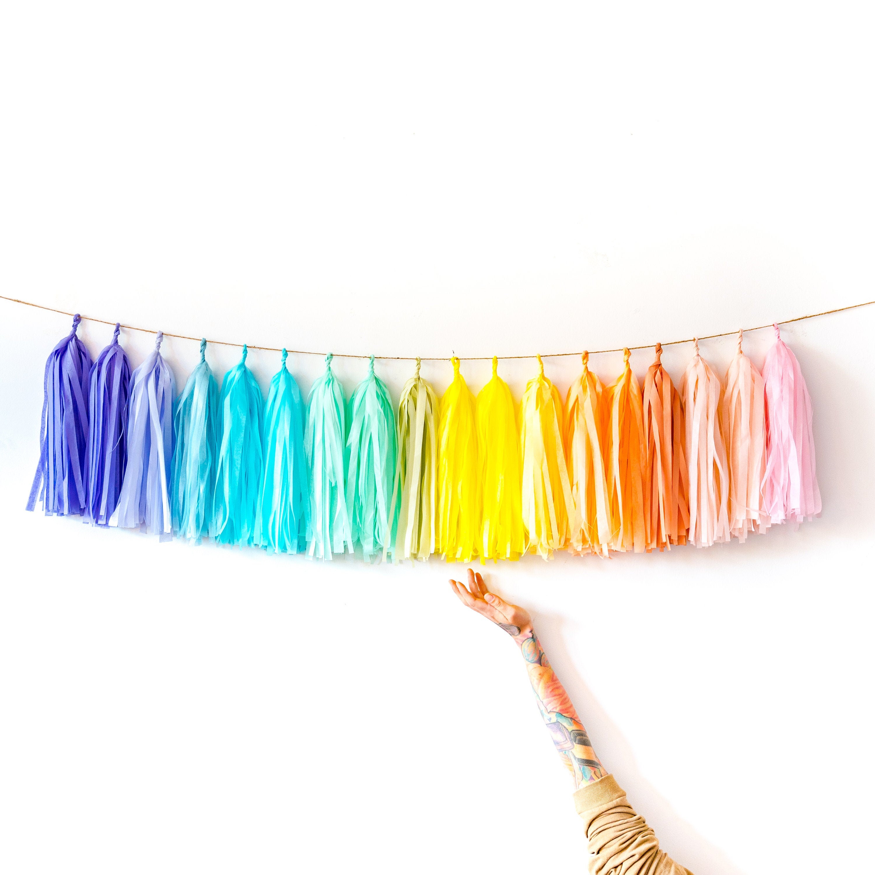 Pastel Rainbow Tassel Garland Rainbow Party Decorations Etsy