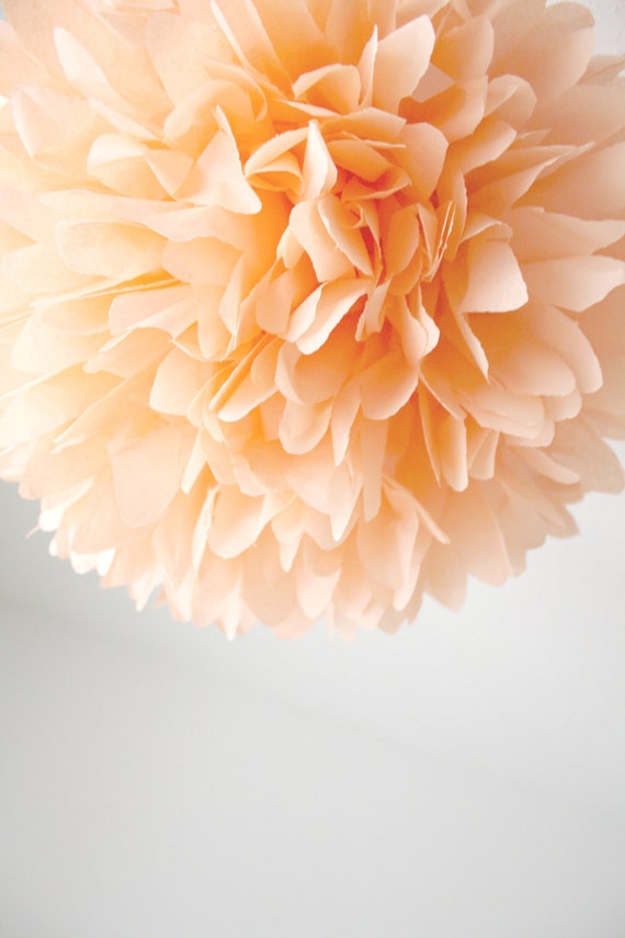 Peach Wedding Decoration 1 Tissue Pompom Flower Birthday Etsy