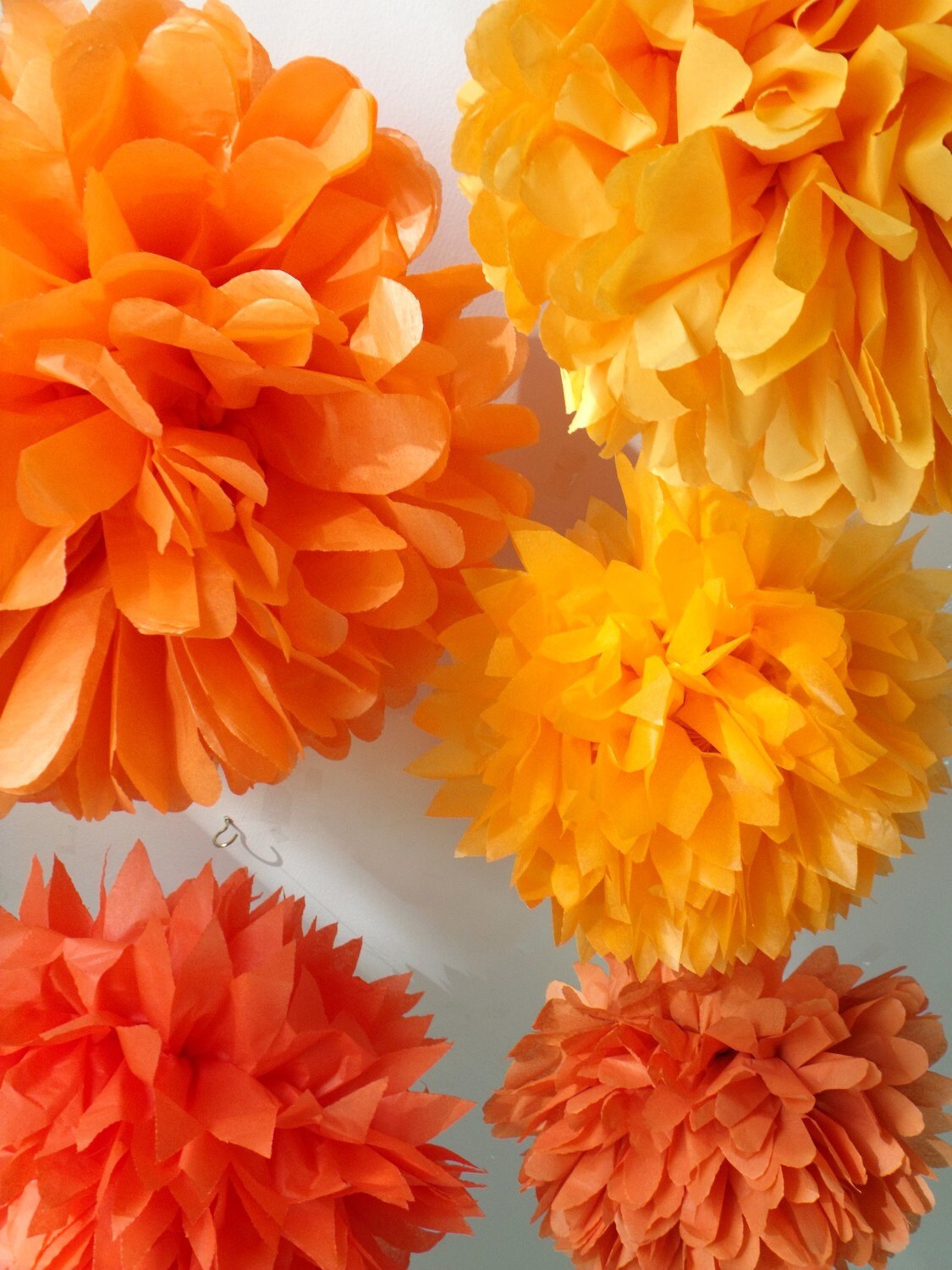 marmalade 5 poms Etsy